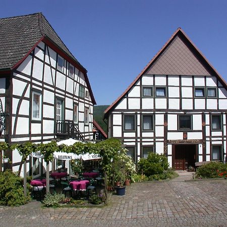Hotel Schwalenberger Malkasten Шидер-Шваленберг Экстерьер фото